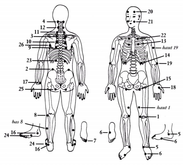 Illustration des verrous de sauvegarde de l'enérgie en Jin Shin Jyutsu